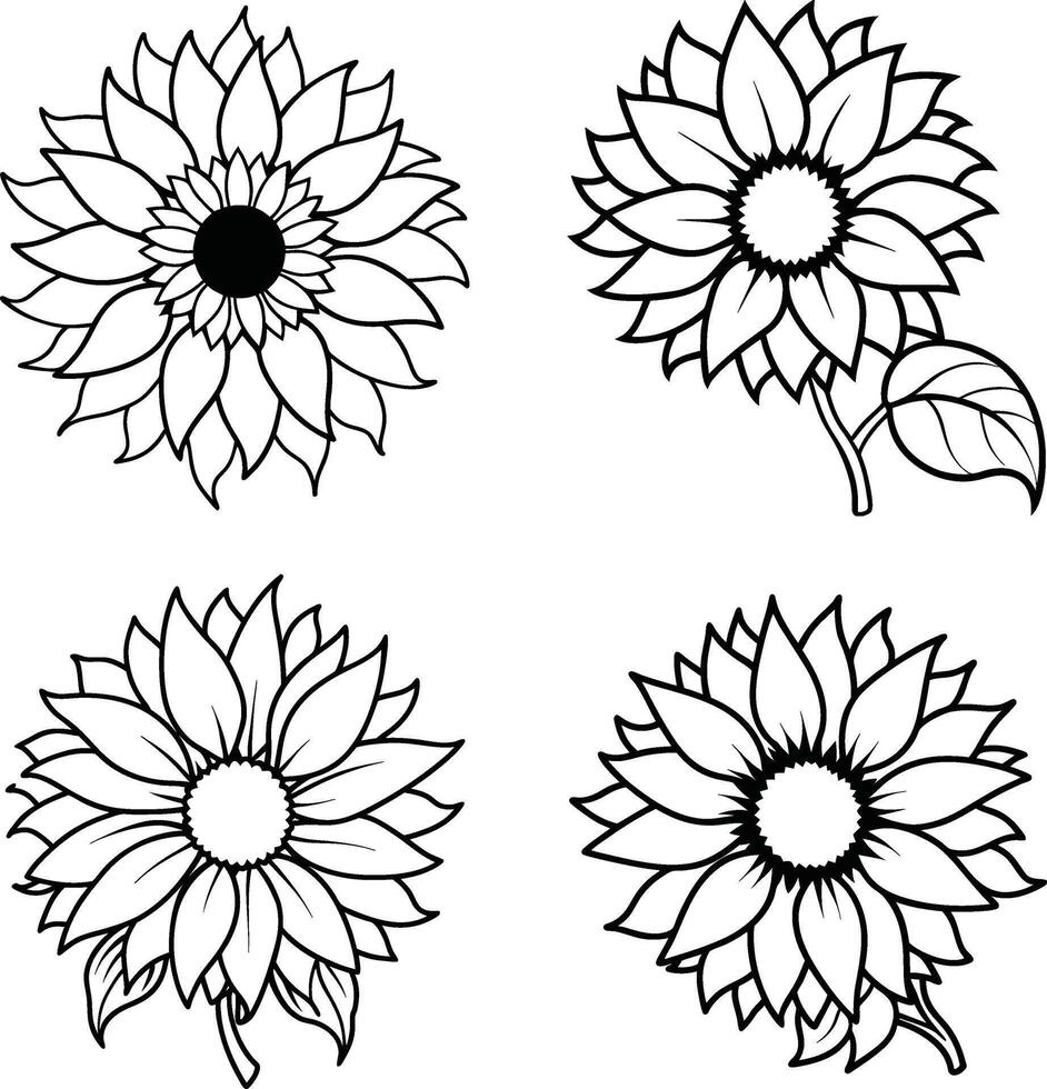 Variety of floral illustrations coloring sheet flower patterns in spring and summer colors vector