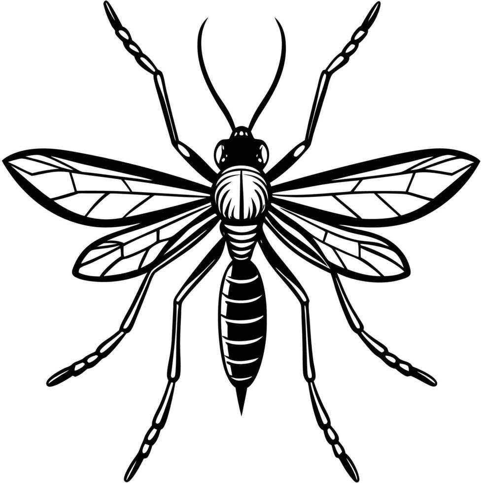 Isolated Mosquito Insect Sketch in Detailed and Realistic Style vector