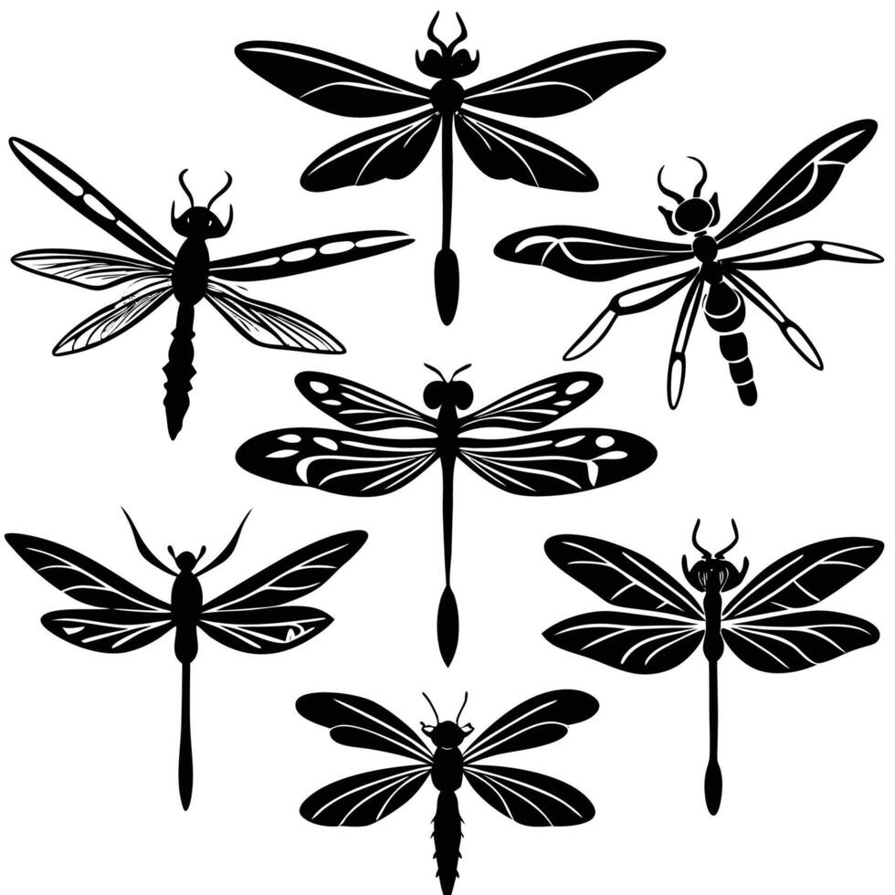 Collection of Black Dragonfly Silhouettes on a White Background for Design or Illustration vector