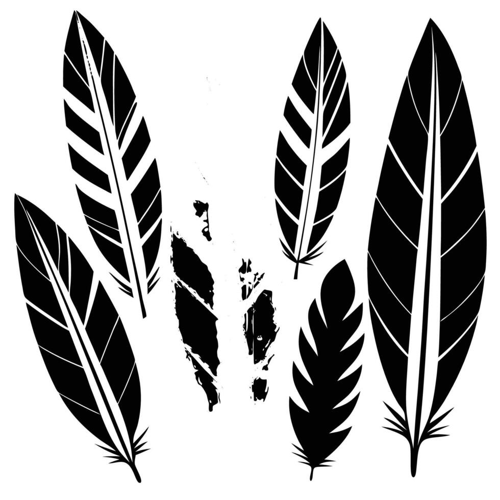 Colorful Assortment of Bird Feathers in Flat Style Isolated on a Transparent Background vector