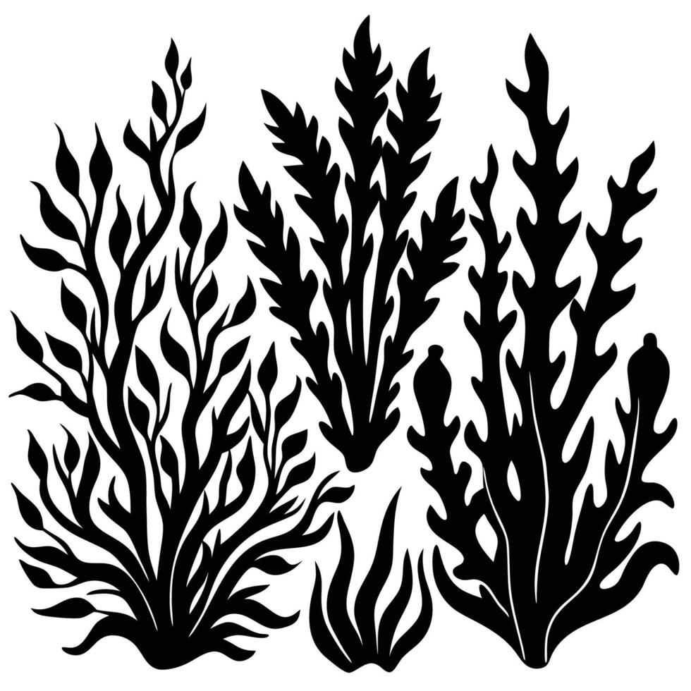 Silhouette Seaweed Isolated Design Elements Duo vector
