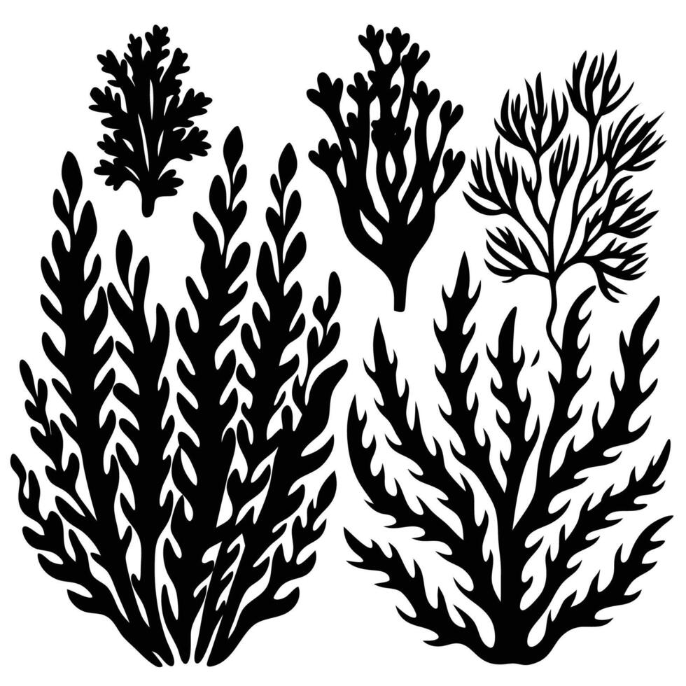 Isolated Seaweed Silhouettes in a Pack of Three vector