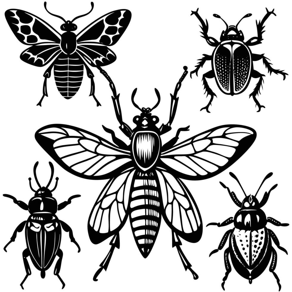 An Assortment of Intriguing Insects in CloseUp Detail vector