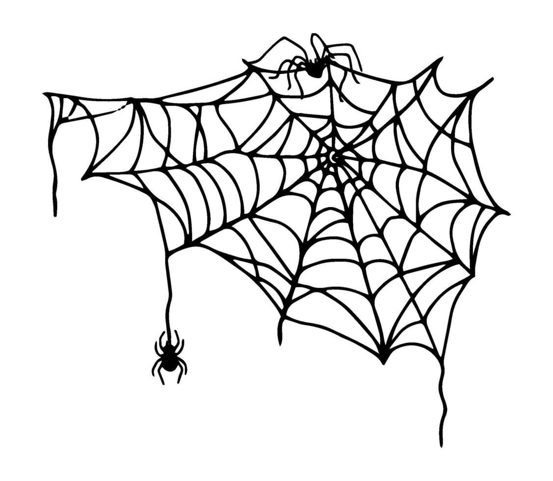 Silhouette of spider hanging on web. Black outline drawing for Halloween. Hand drawn isolated graphic clipart. Line illustration of creepy insect for decor and invitation design. Simple Doodle style vector