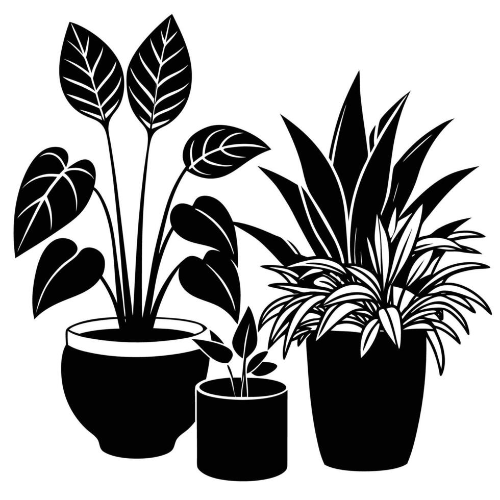 Mesmerizing Silhouette of Indoor Plants on a Pristine White Background vector