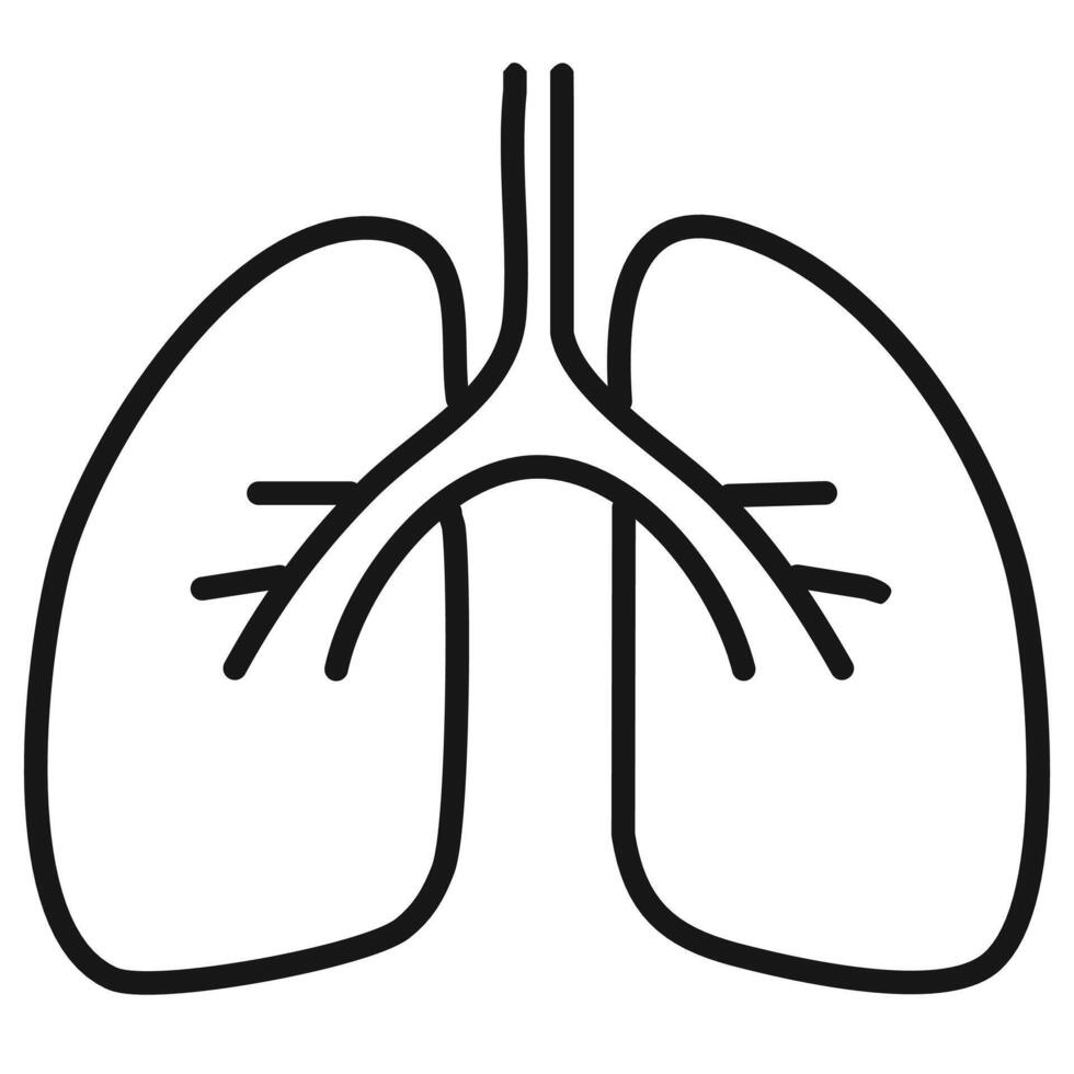 Lungs icon. Outline bronchitis symbol for web design isolated on white background vector