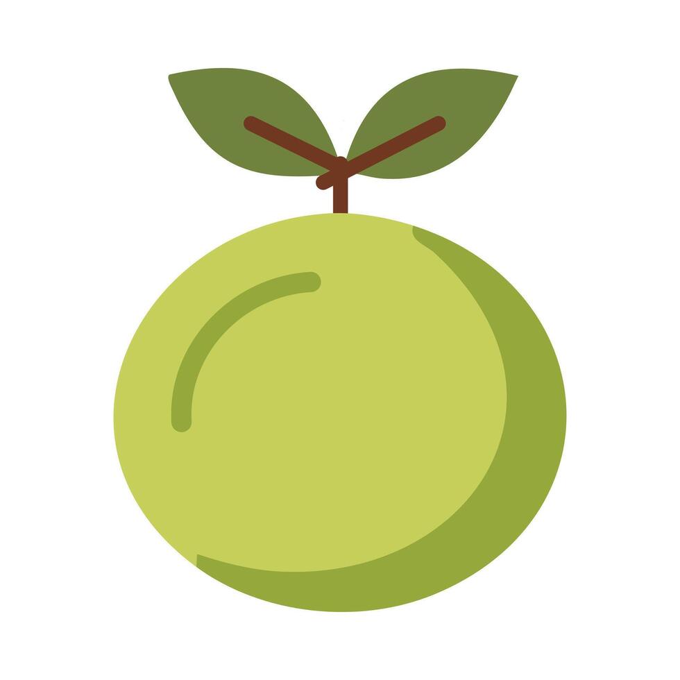 Green mamoncillo fruit icon image illustration design green apple flat style vector