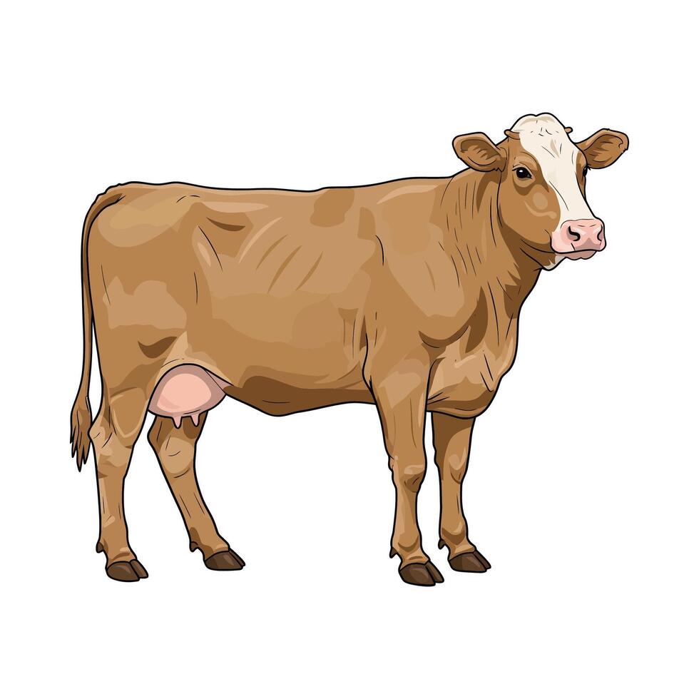 Brown cow isolated on white background. illustration of a cow. vector