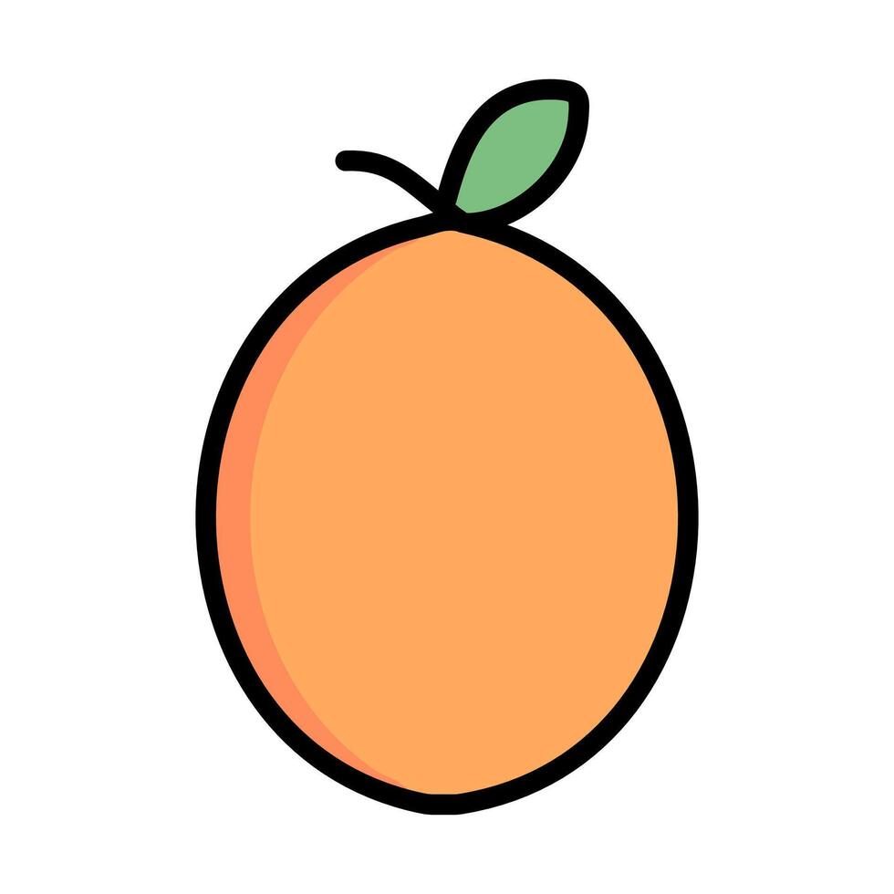 Kumquat fruit icon sign illustration vector