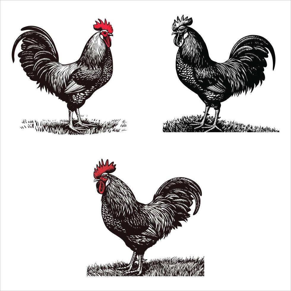Rustic Rooster with Swirling Tail vector