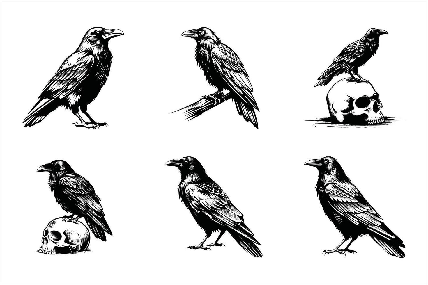 Majestic Crow Silhouette Design vector