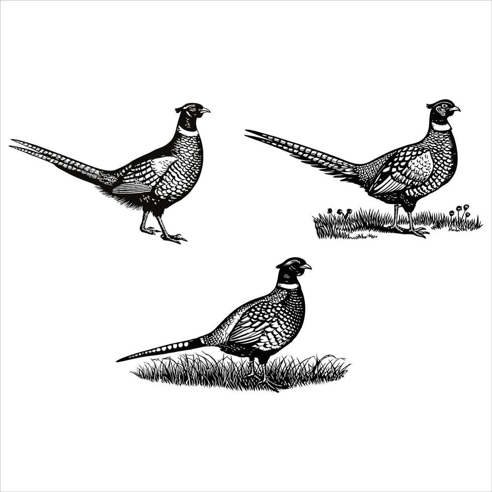 Elegant Pheasant in Flight Design vector
