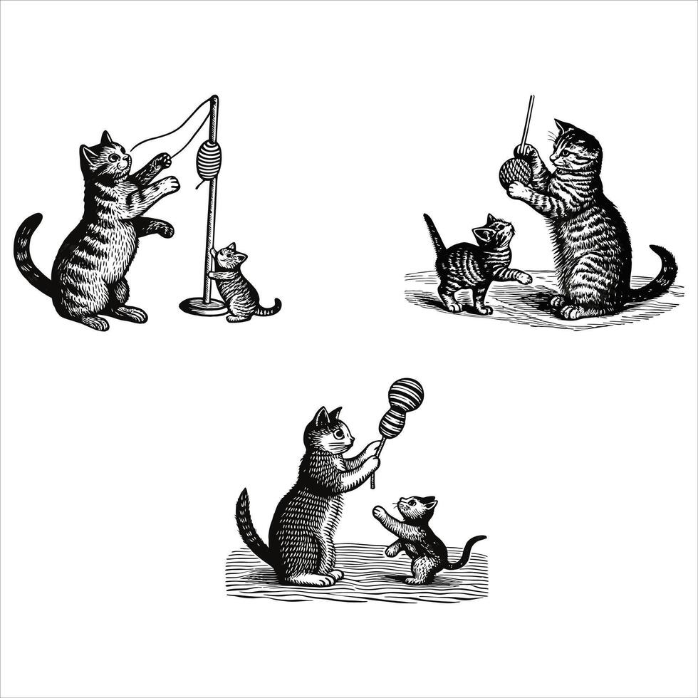 cat playing kitten vector