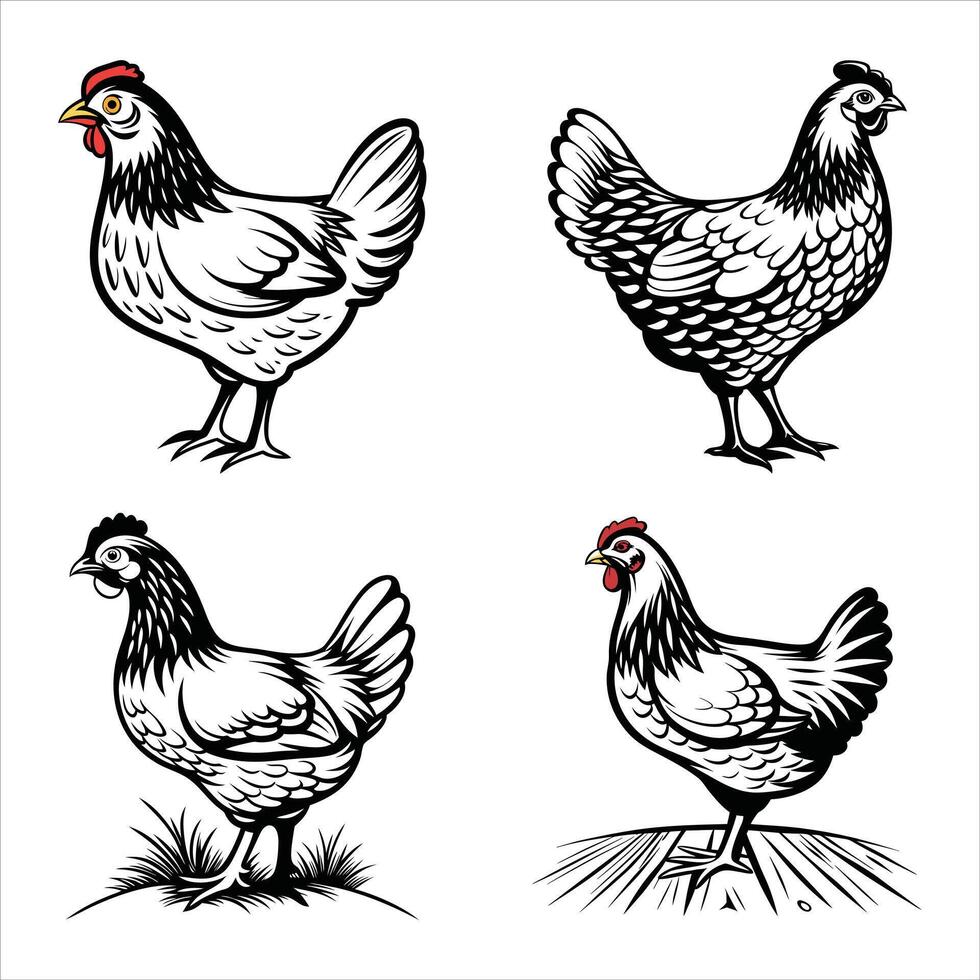 Cute Farmhouse Chicken Silhouette vector