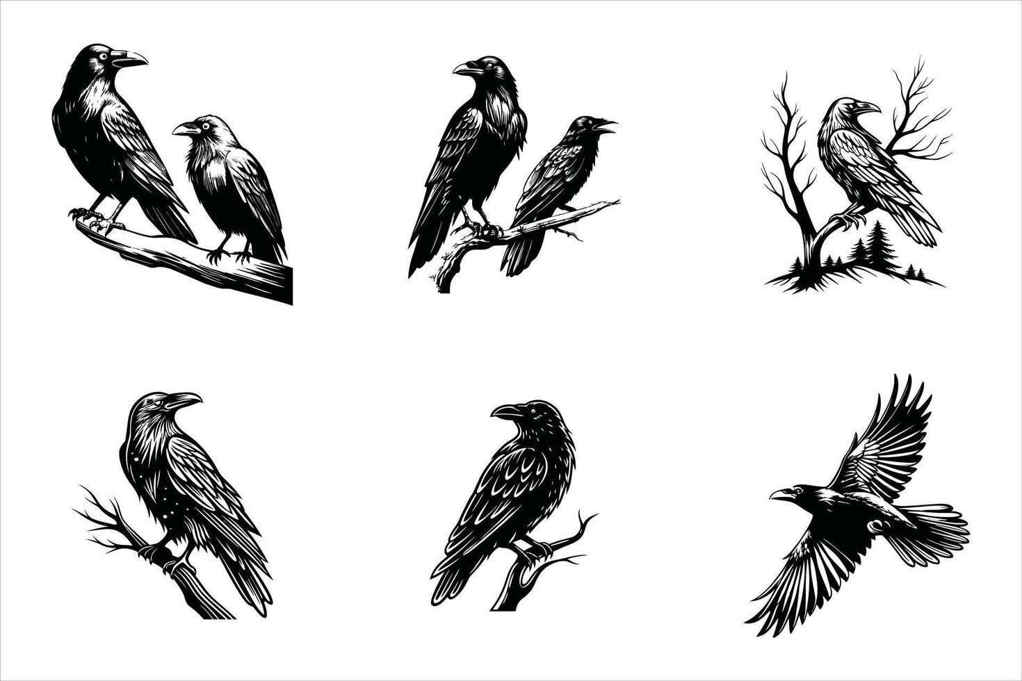 Mysterious Raven Outline Art vector
