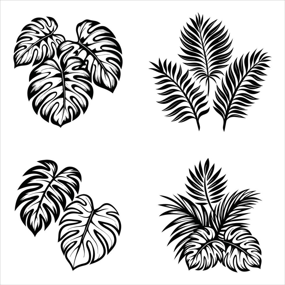 Monstera Leaf Outline vector