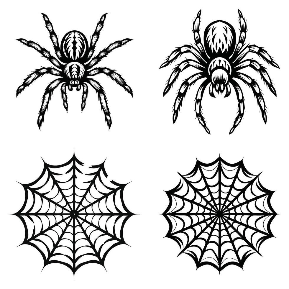 Halloween Spider Web Design vector