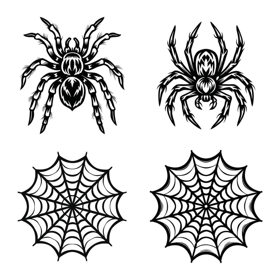 Haunted House Web Silhouette vector