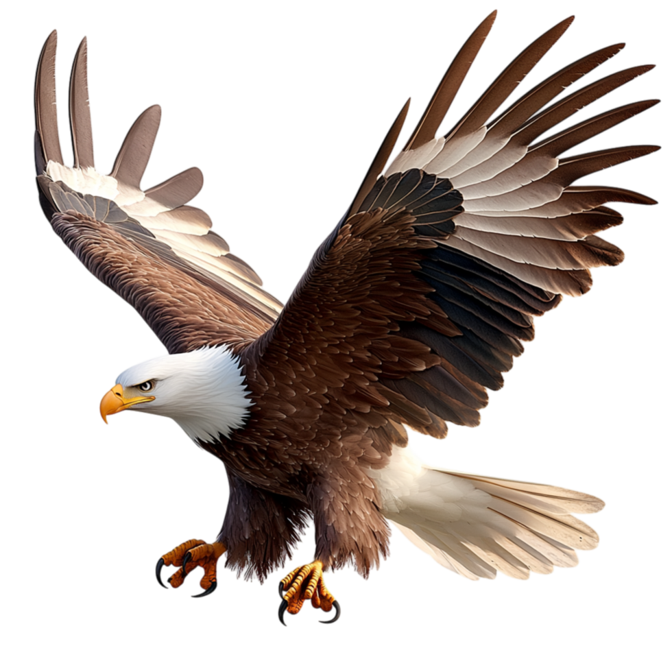 Majestic Bald Eagle Soaring Wings Spread Widees png