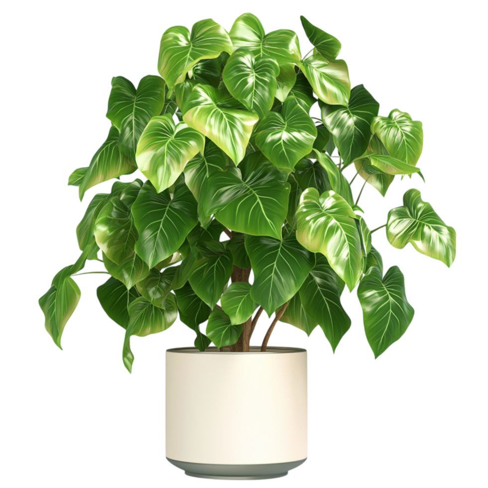 Healthy Green Indoor Plant Growing in a White Potes png