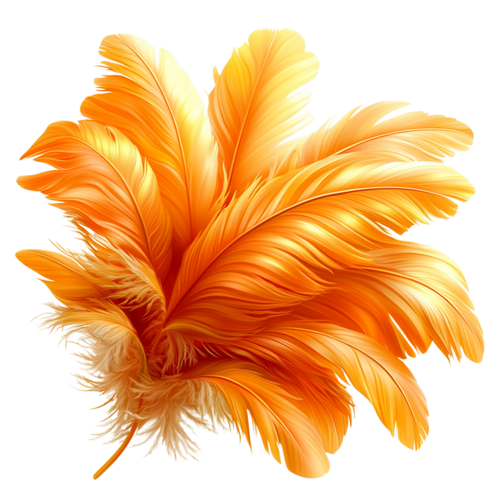 Bright Orange Feather Soft, Delicate Strs png