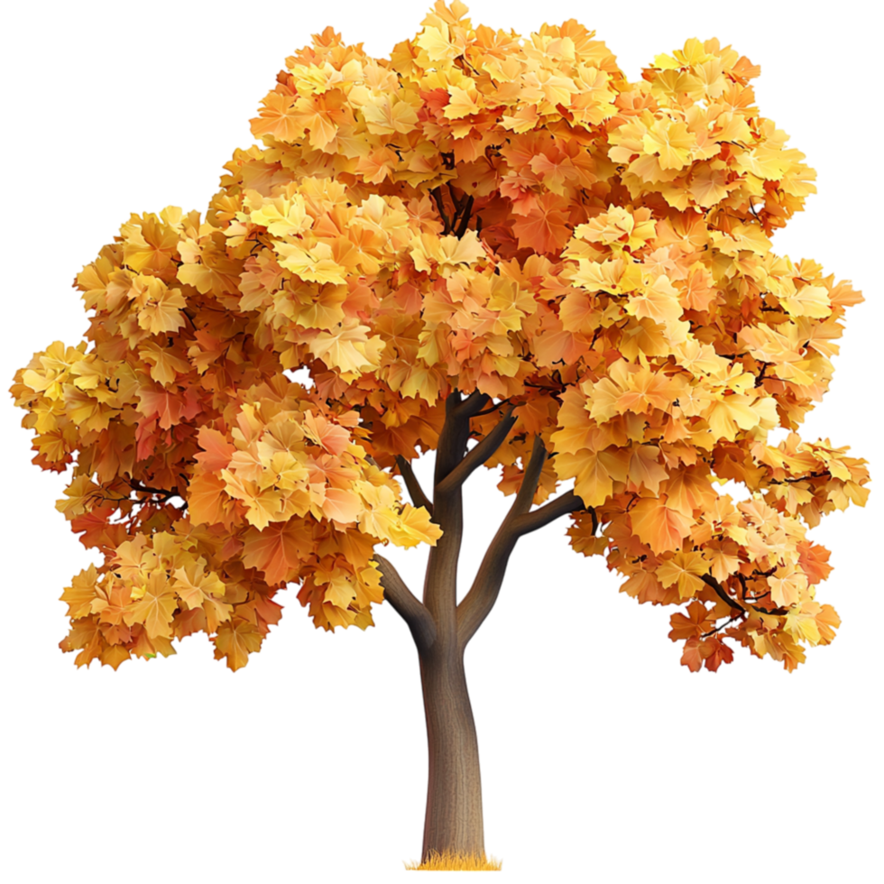 Beautiful autumn tree golden orange leaves in full bloom png