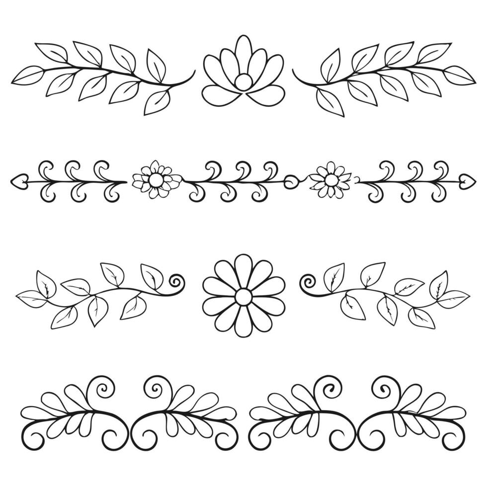 Elegant botanical line drawing with intricate floral details vector