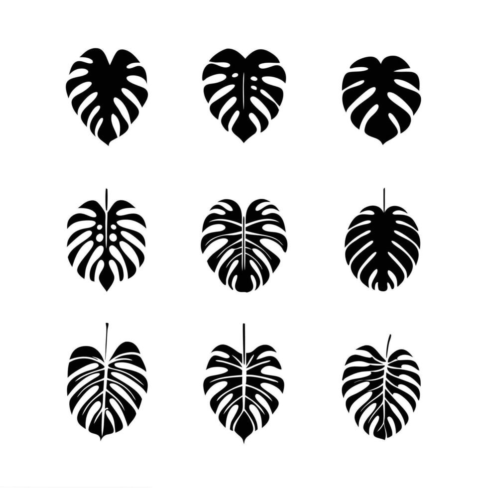 Stylish Black And White Designs monstera-leaf-silhouettes. vector