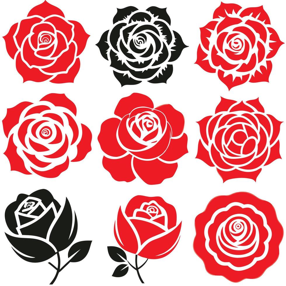 Black and coloring rose silhouettes floral elegant design vector