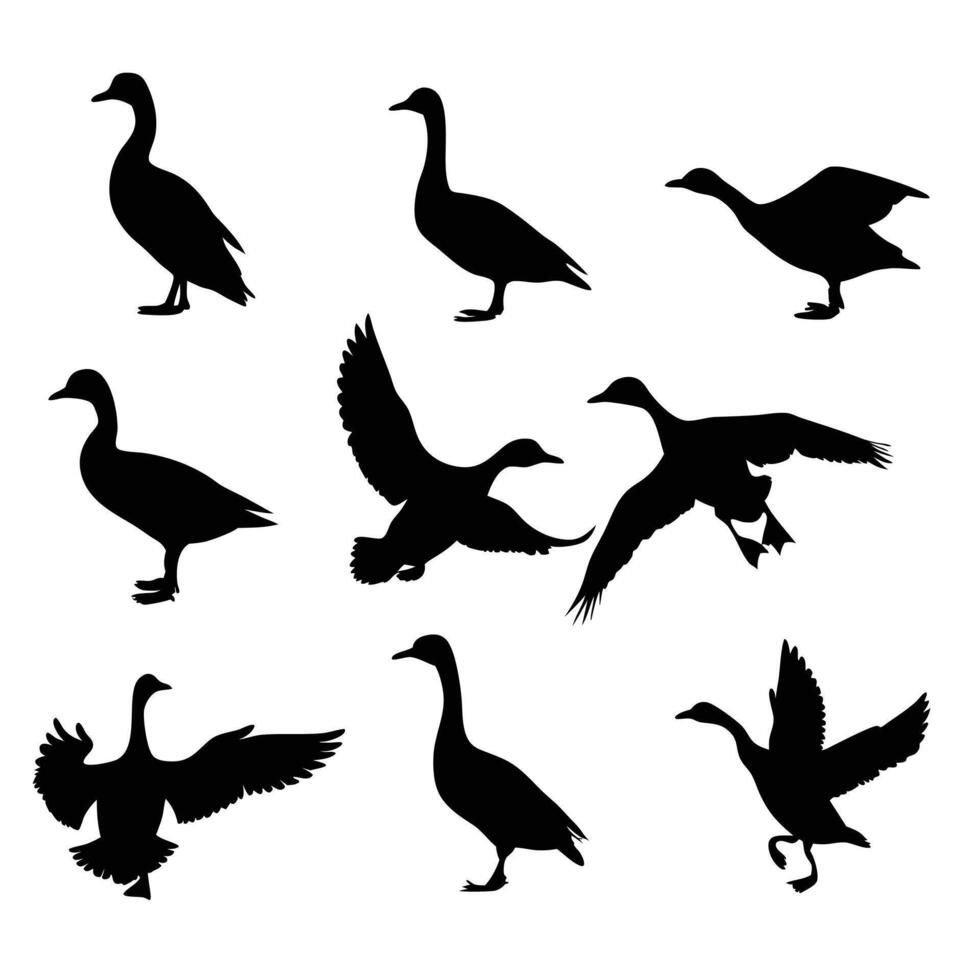 Silhouettes of ducks and geese elegant monochrome design vector