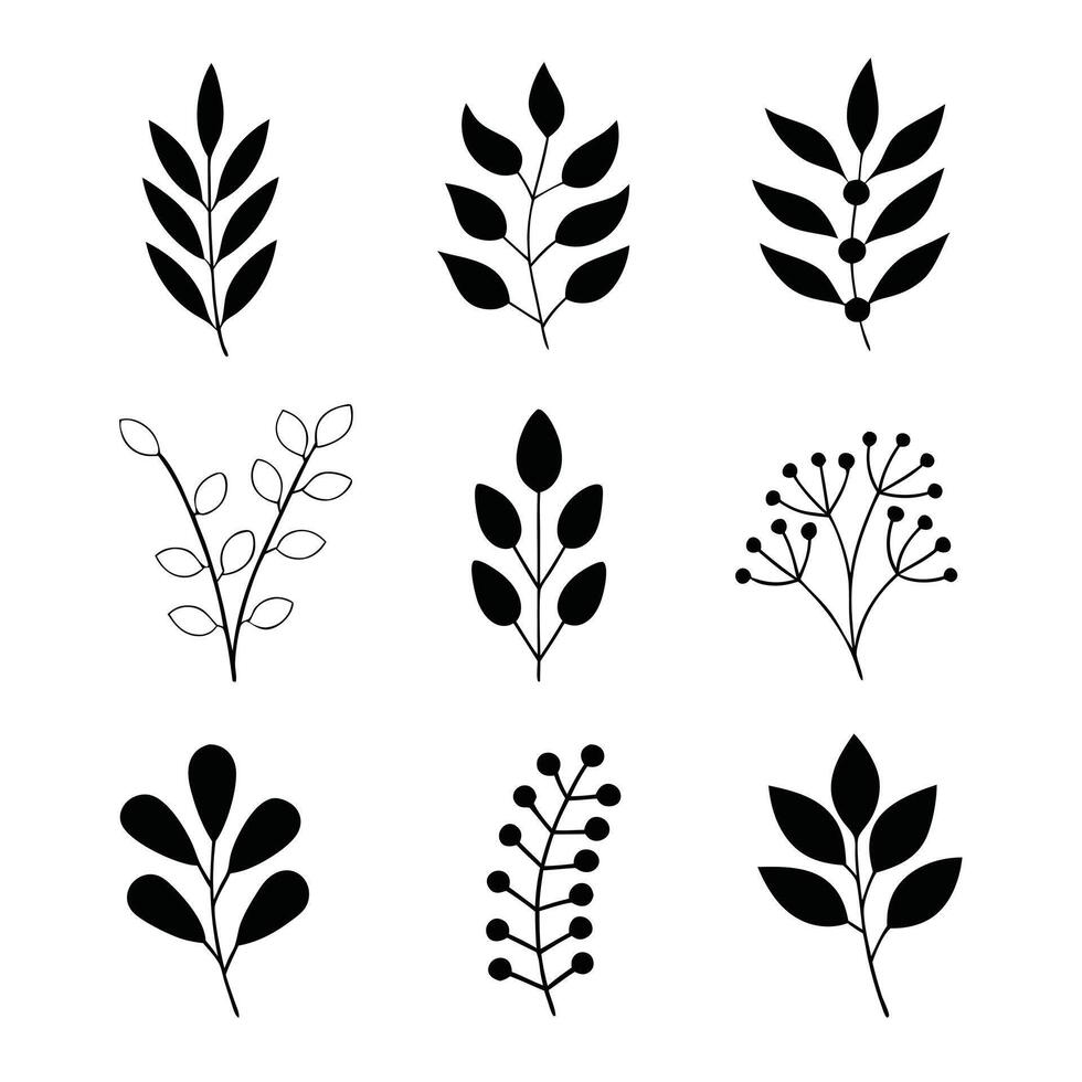 Black and white botanical leaf-pattern set elegant design vector