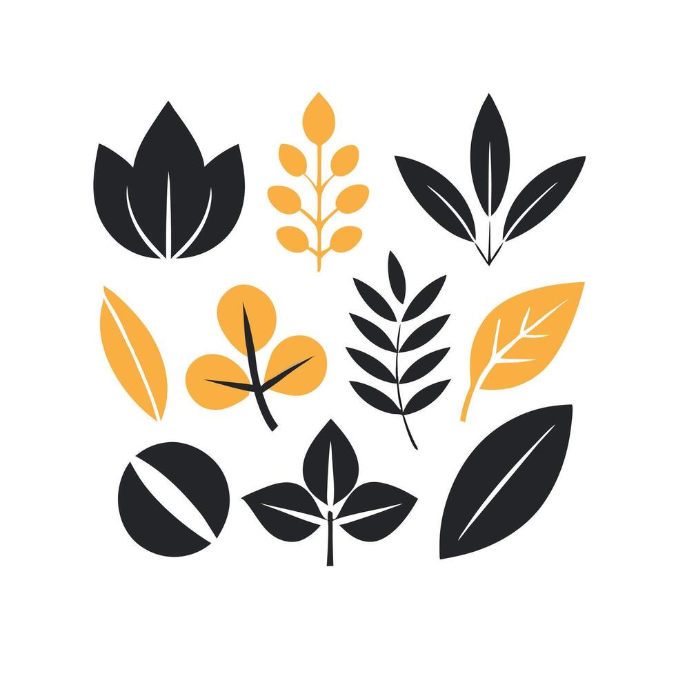Black and coloring botanical leaf-pattern set hand-drawn illustration vector