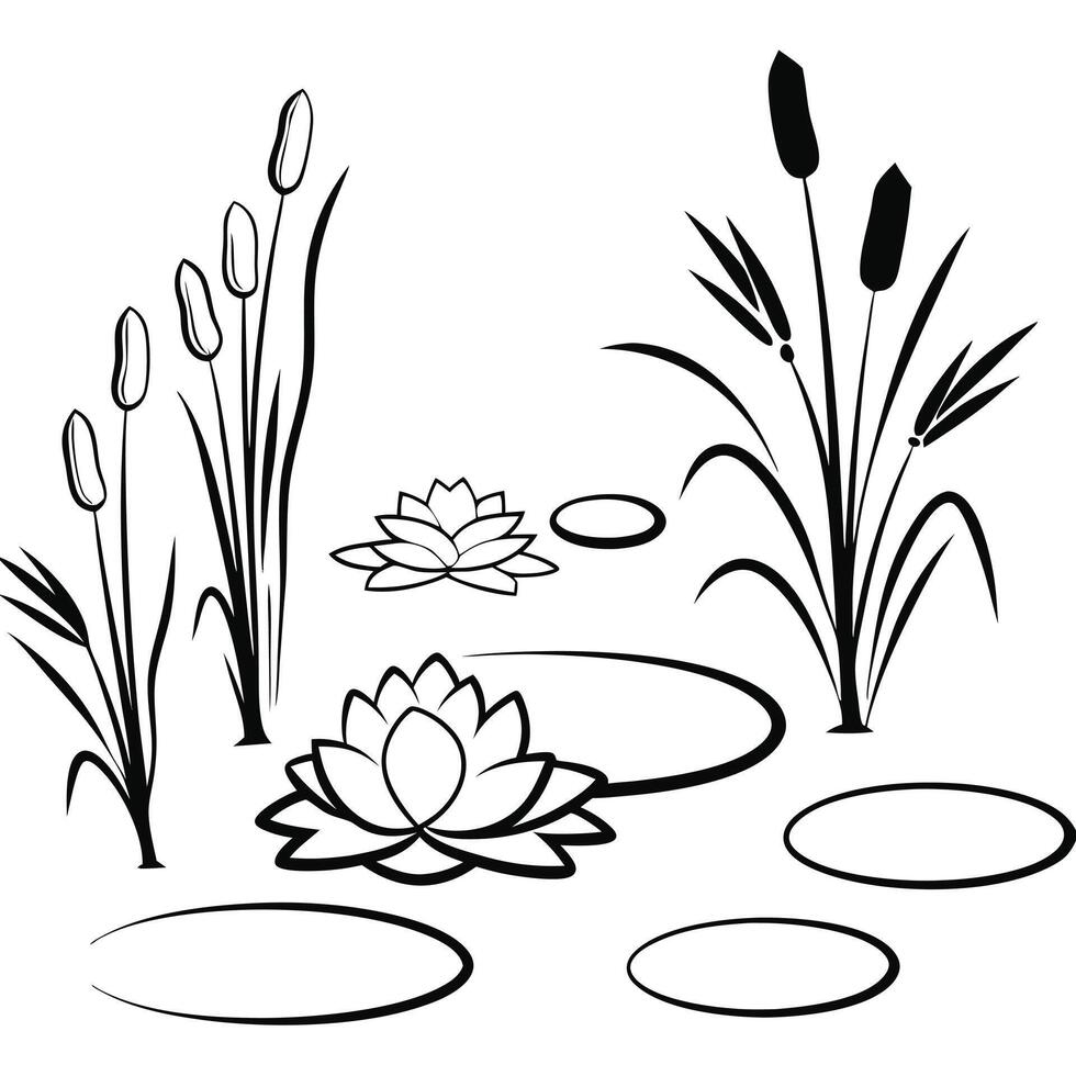 Pond scene black and white illustration with nature elements vector