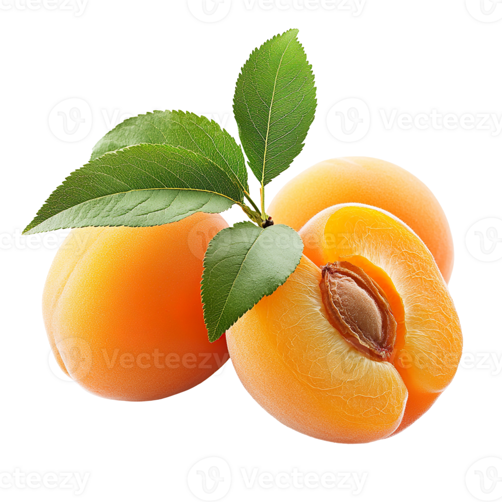 Fresh organic apricot with leaves isolated on transparent background png
