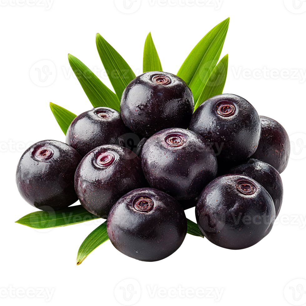Fresh bunch acai berries isolated on transparent background png