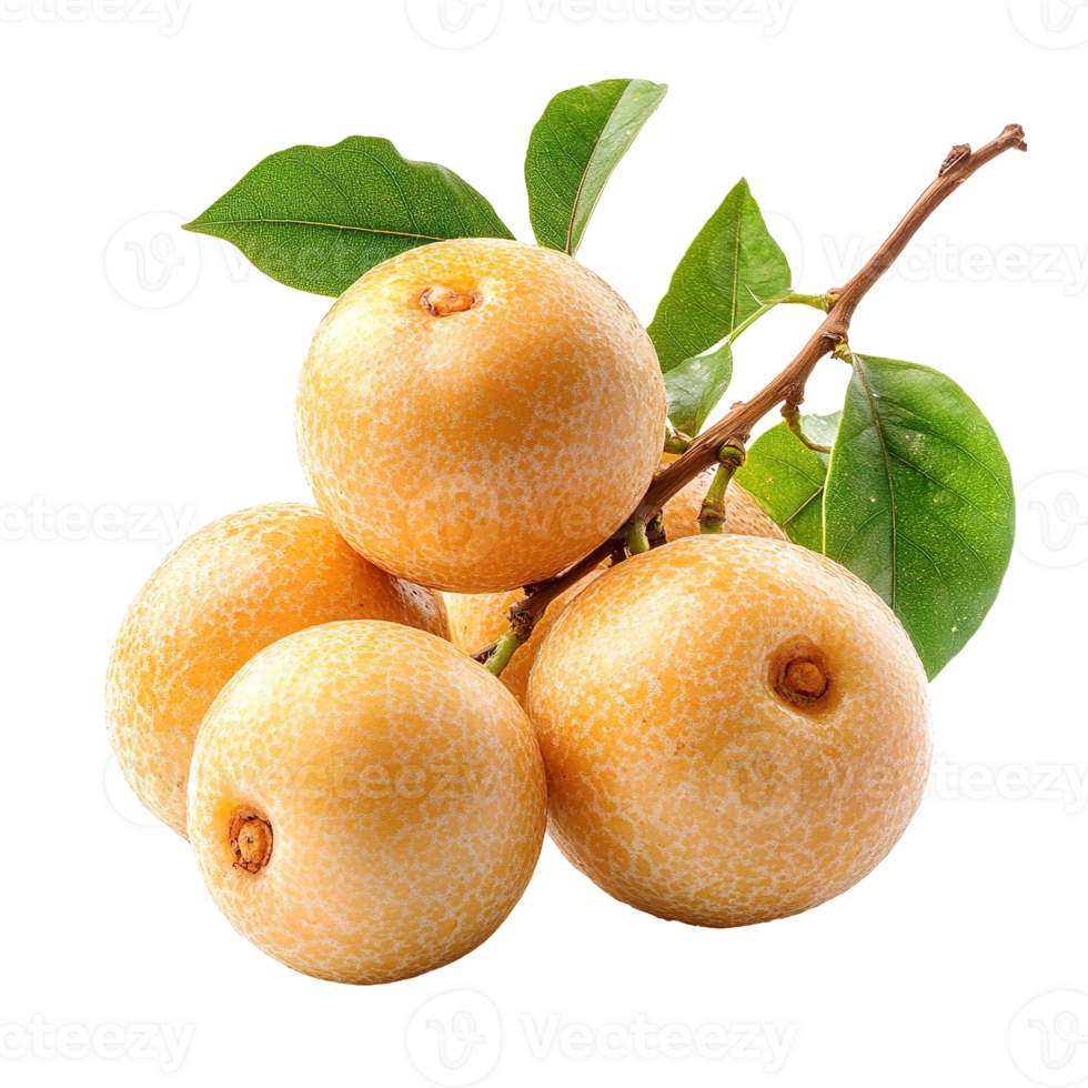 Fresh longan isolated on transparent background png