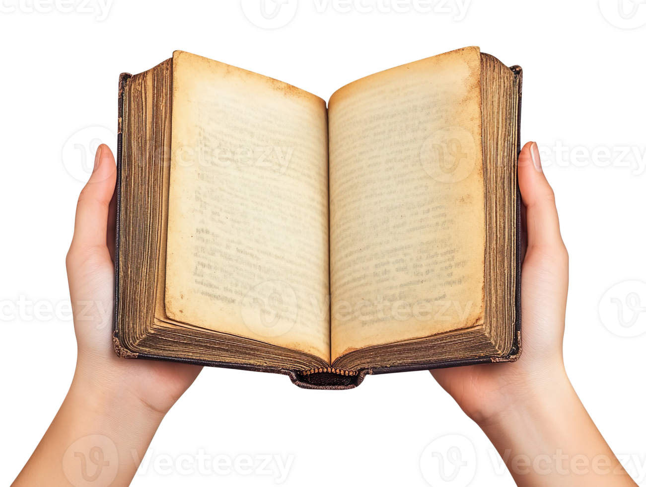 Hands holding open book isolated on transparent background png