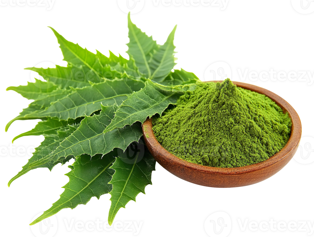 Medicinal neem leaves with powder isolated on transparent background png