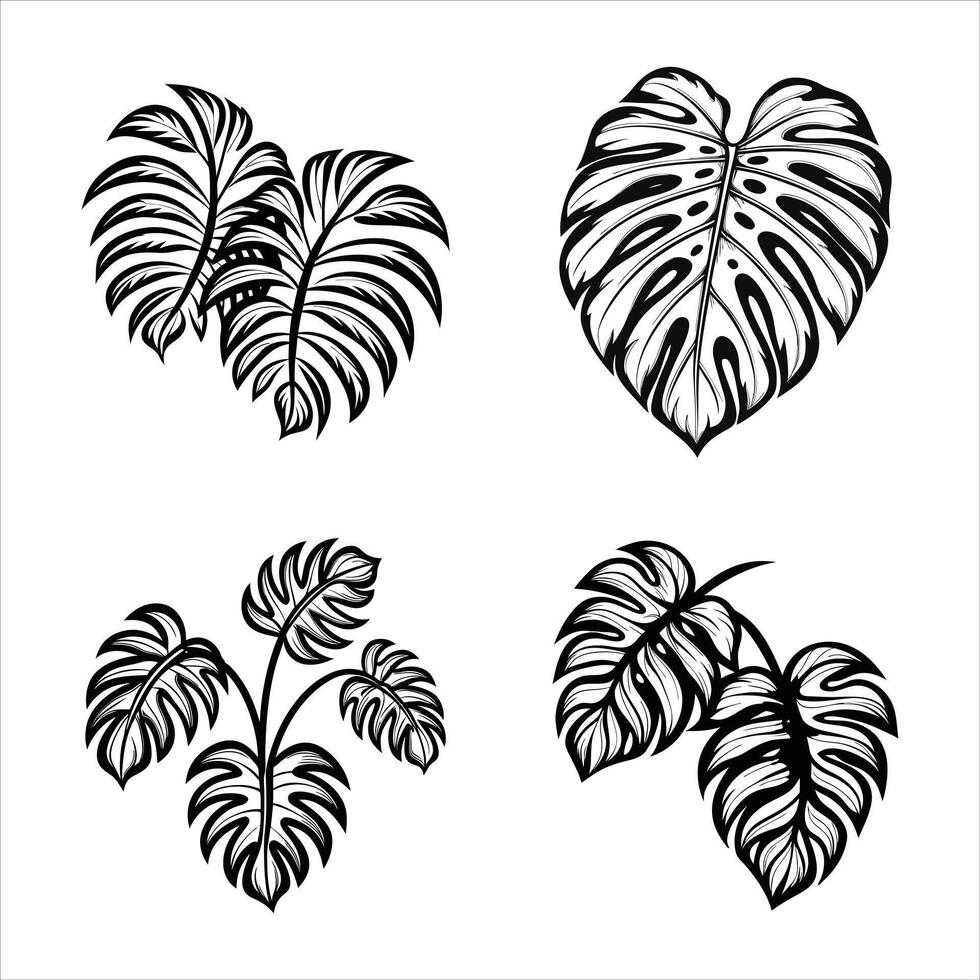 Boho Tropical Leaf Design vector