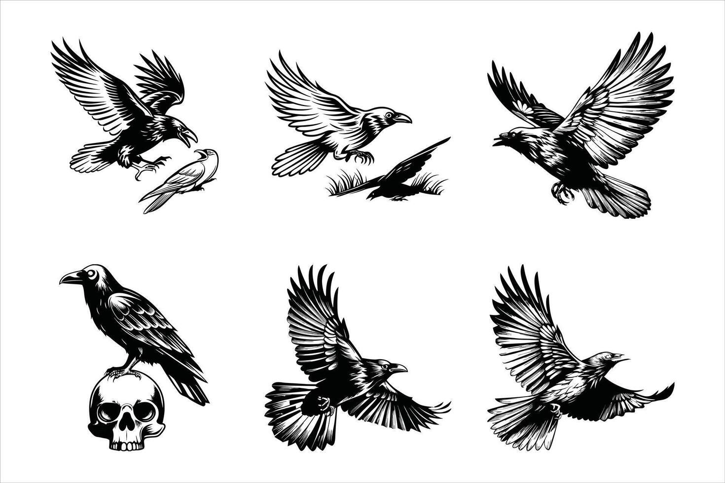 Gothic Crow Wings Spread vector