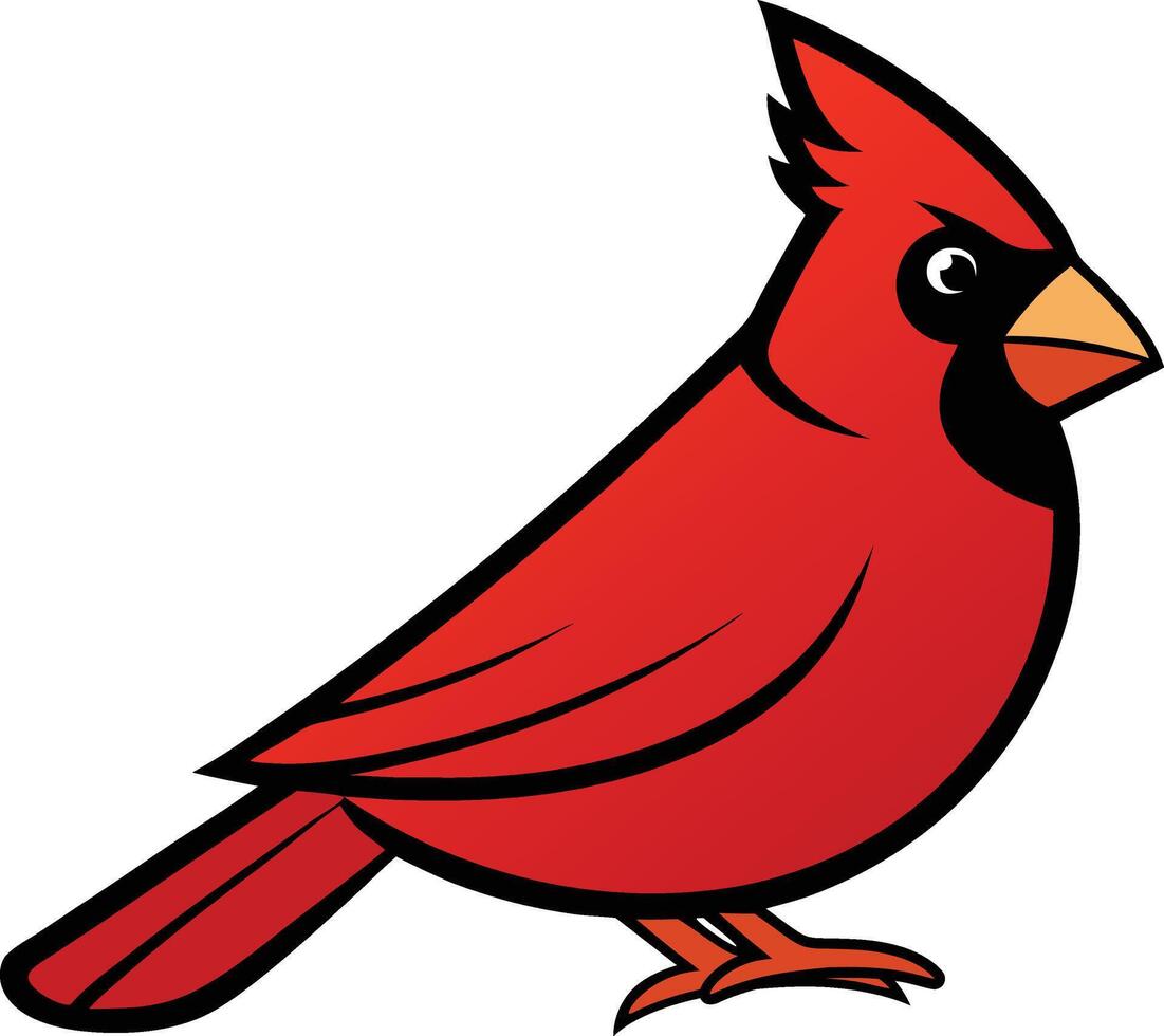 A red cardinal bird is standing on its feet vector