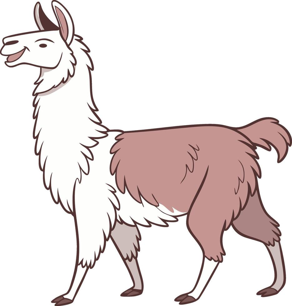 Illustration of a llama illustration vector