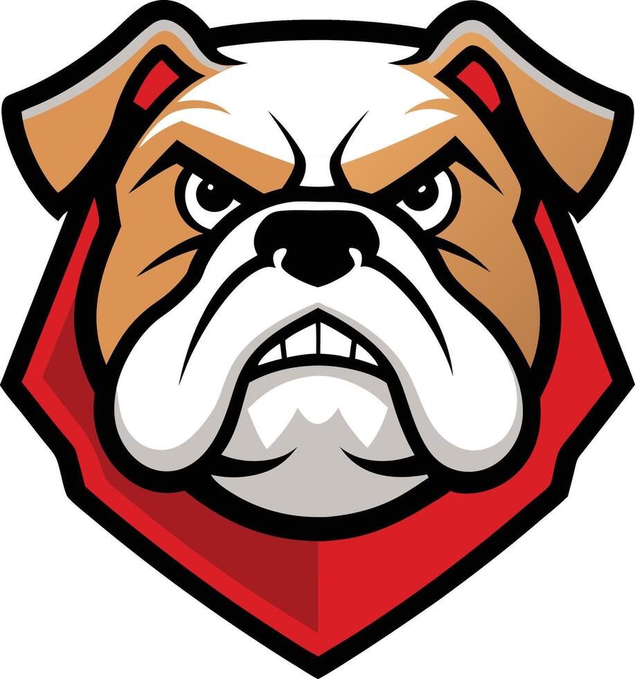 The bulldog mascot head is shown in a red and white scarf vector