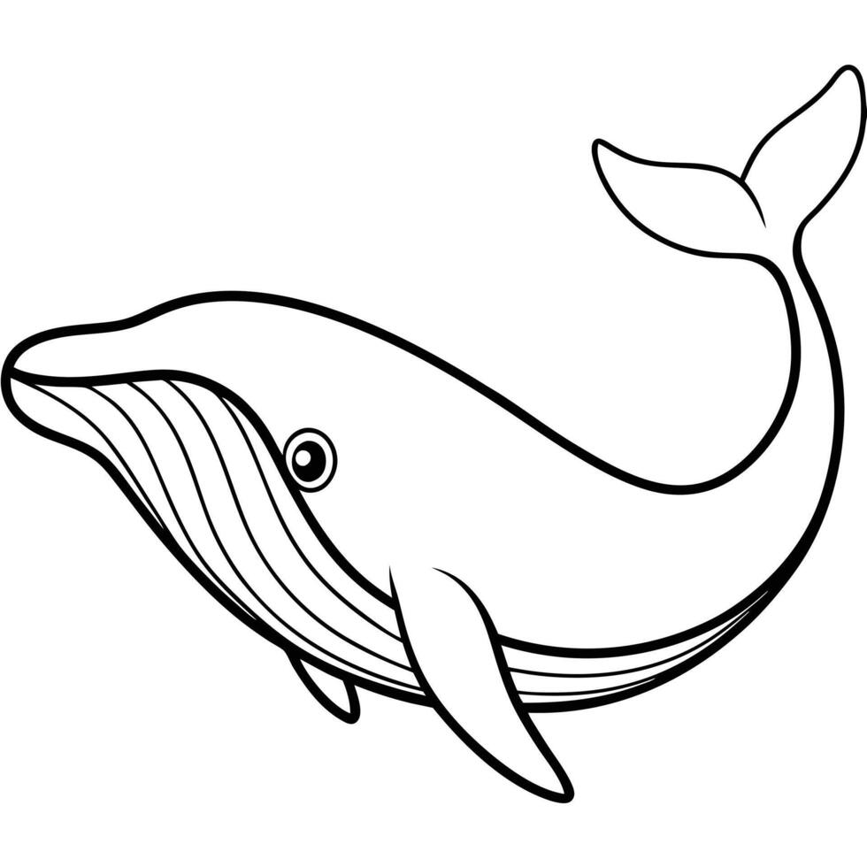 Cute Black and White Whale Coloring Page vector