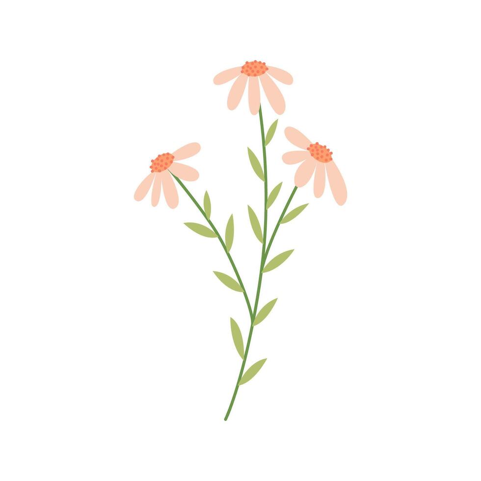 Minimalist daisy illustration with soft pastel petals and green leaves. Perfect for botanical designs, floral patterns, and eco-friendly projects. vector