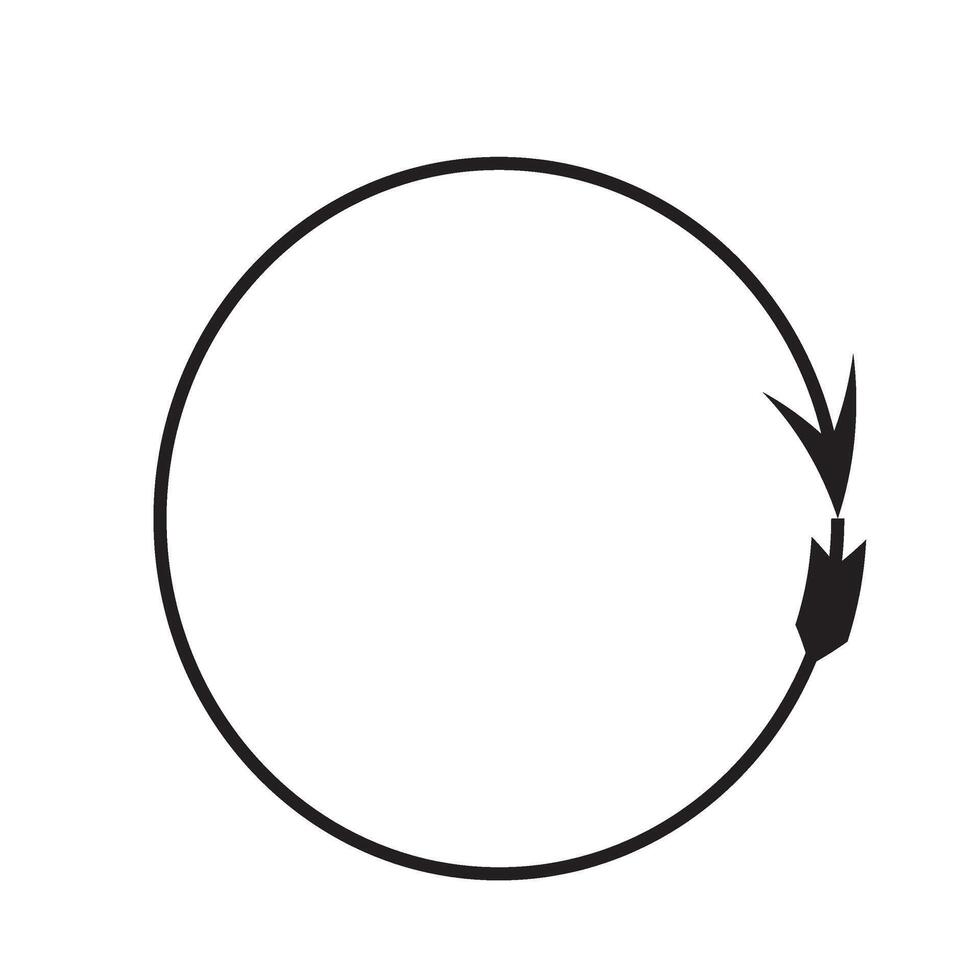 arrow circles graphic vector