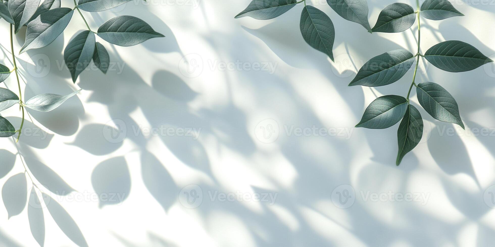 Delicate green leaves casting soft shadows on a light background, creating a serene and calming atmosphere. photo