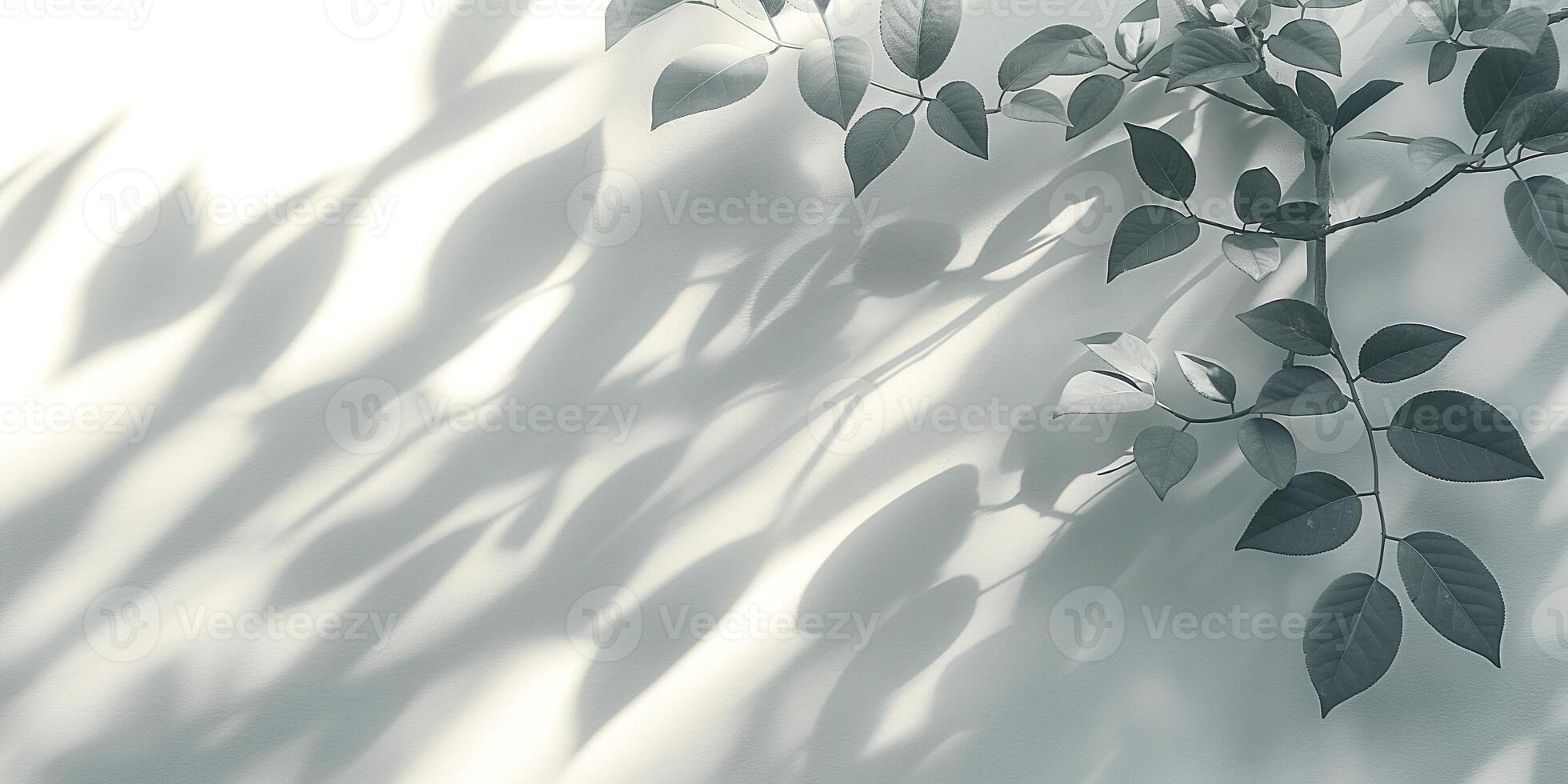 Delicate green leaves cast soft shadows on a light background, creating a serene and calm atmosphere. photo