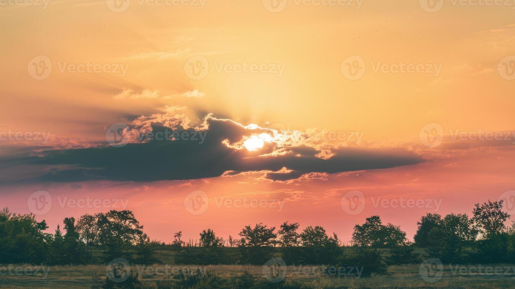 Sunset over the field with clouds and trees photo