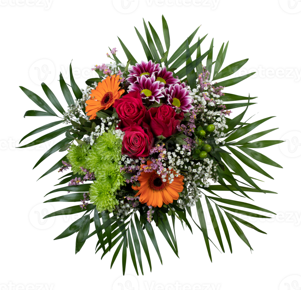 Top view of red orange blooming flower bouquet cut out isolated transparent background png